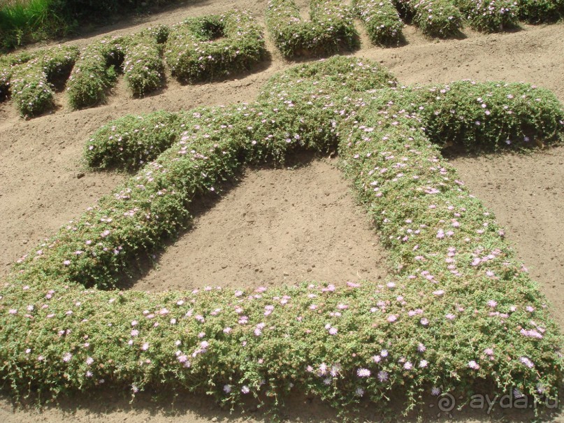 Тунис, любовь моя!