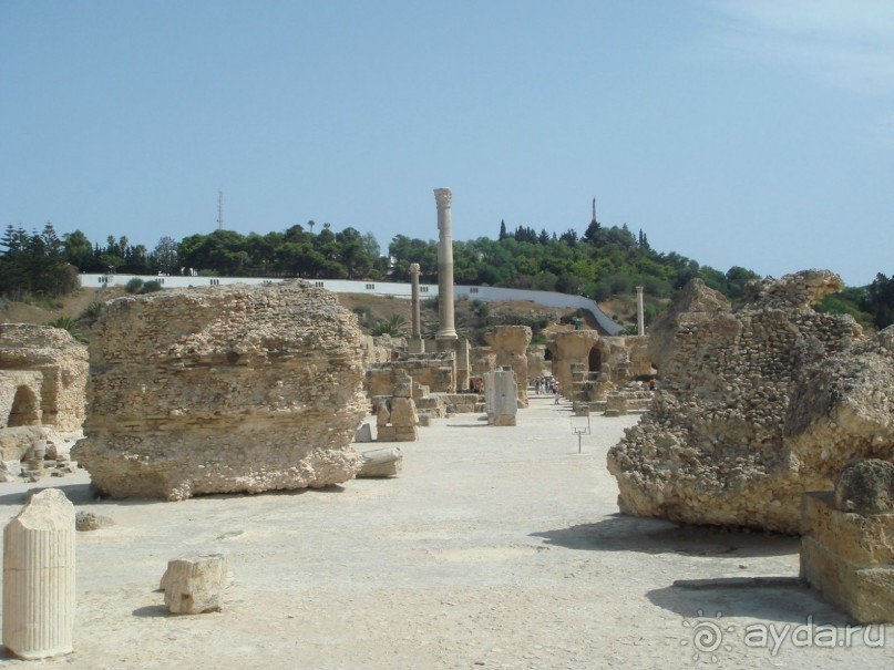 Тунис, любовь моя!