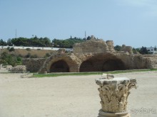 Тунис, любовь моя!