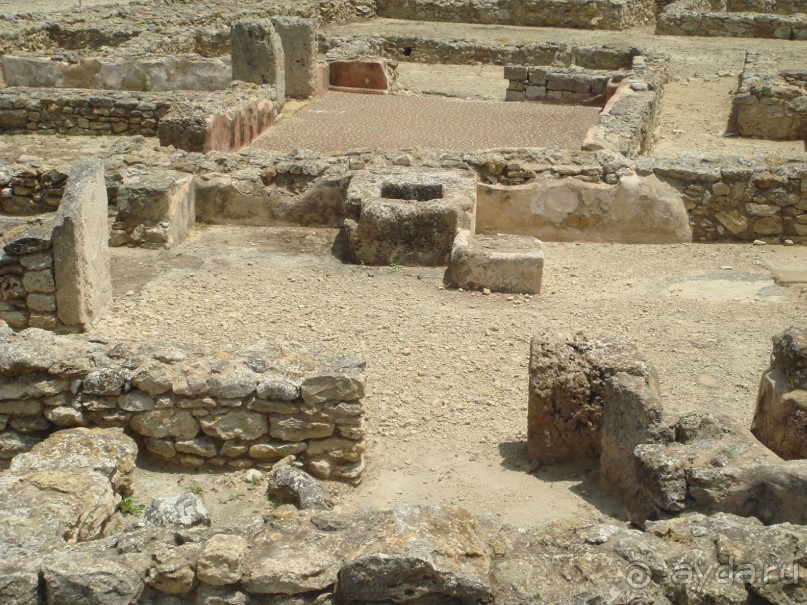 Тунис, любовь моя!