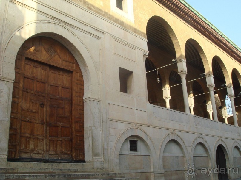 Тунис, любовь моя!