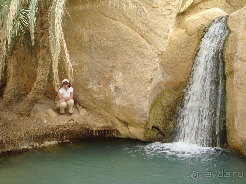 Тунис, любовь моя!