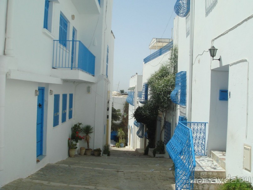 Тунис, любовь моя!