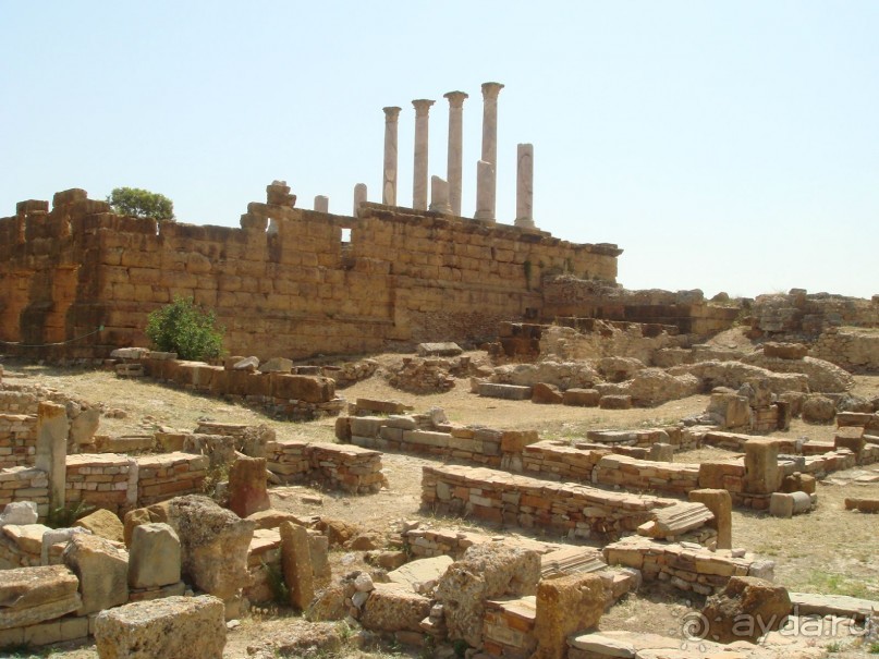 Тунис, любовь моя!