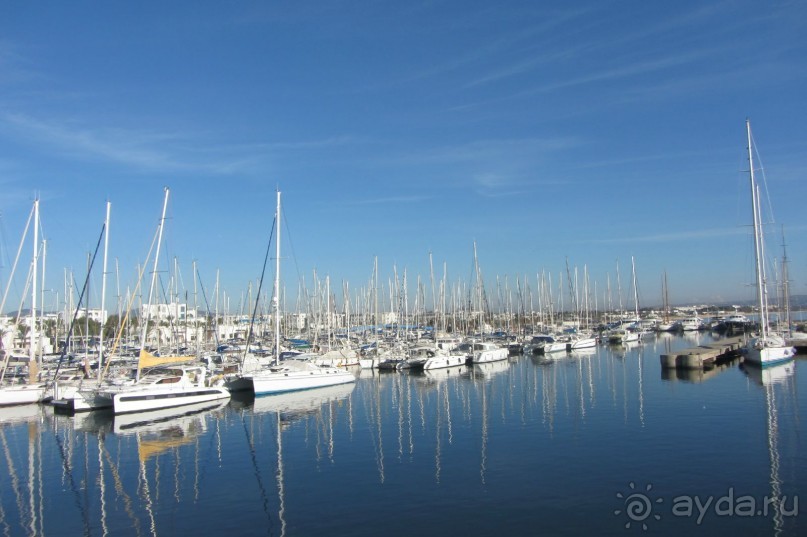 Тунис, любовь моя!