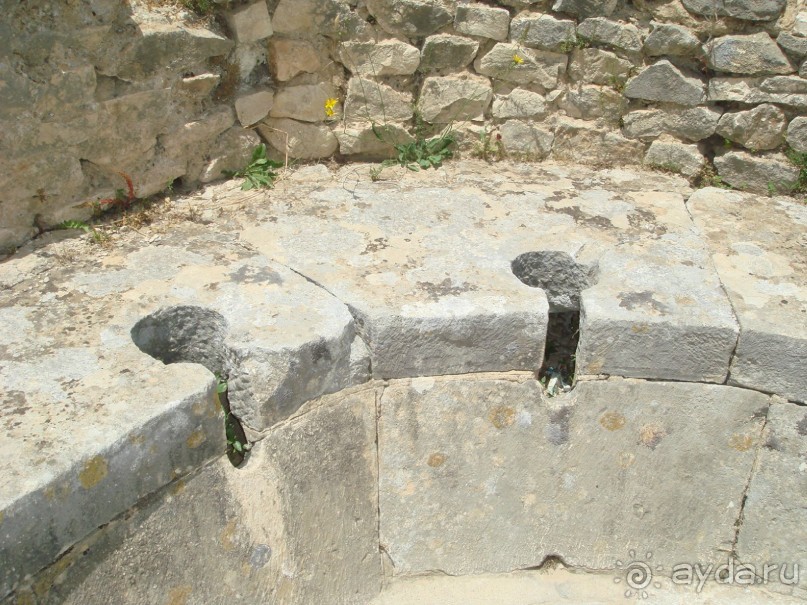 Тунис, любовь моя!