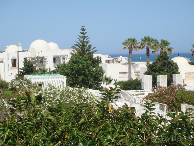 Тунис, любовь моя!