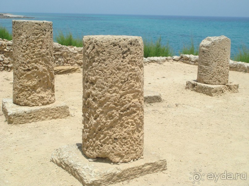 Тунис, любовь моя!