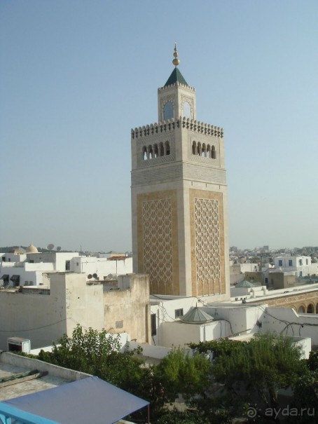 Тунис, любовь моя!