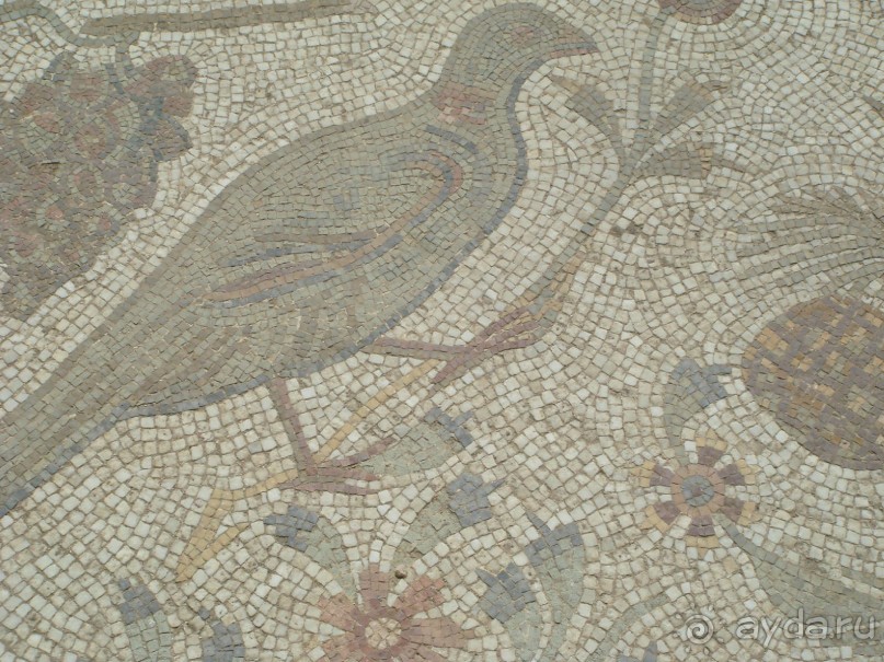 Тунис, любовь моя!