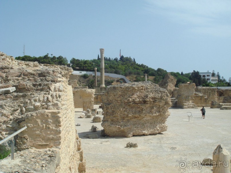 Тунис, любовь моя!