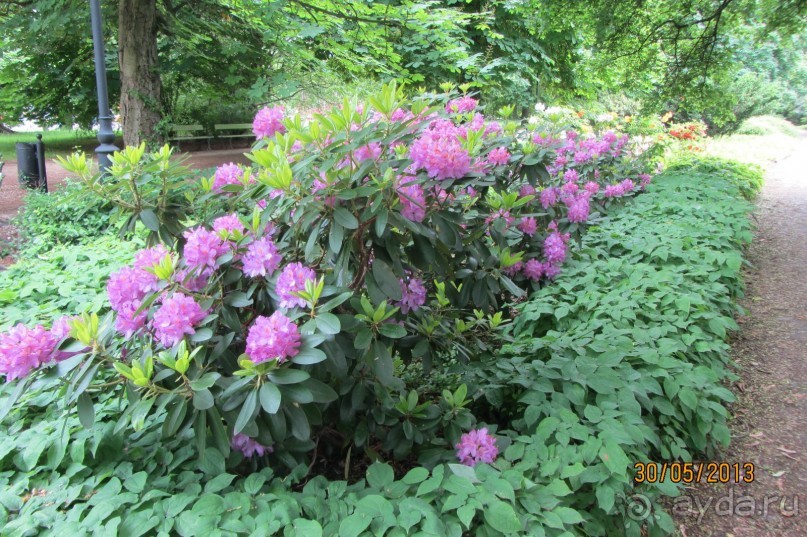 Красивейший дворцово-парковый комплекс! 