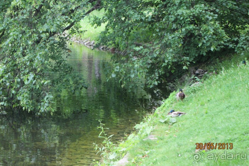 Красивейший дворцово-парковый комплекс! 