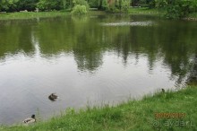 Красивейший дворцово-парковый комплекс! 