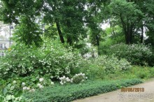 Красивейший дворцово-парковый комплекс! 