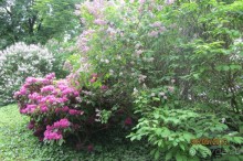 Красивейший дворцово-парковый комплекс! 