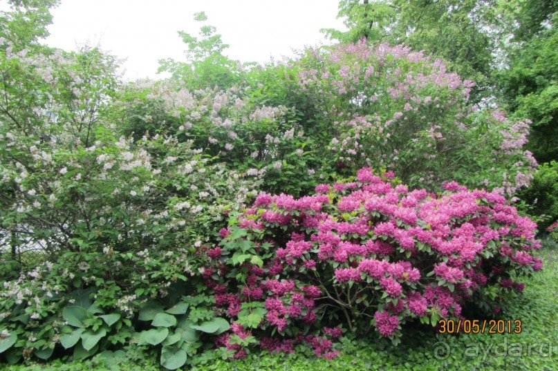 Красивейший дворцово-парковый комплекс! 