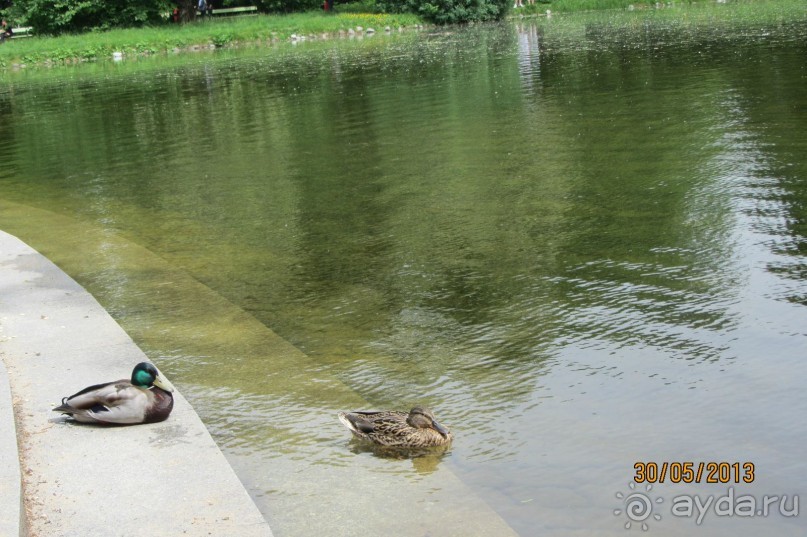 Красивейший дворцово-парковый комплекс! 