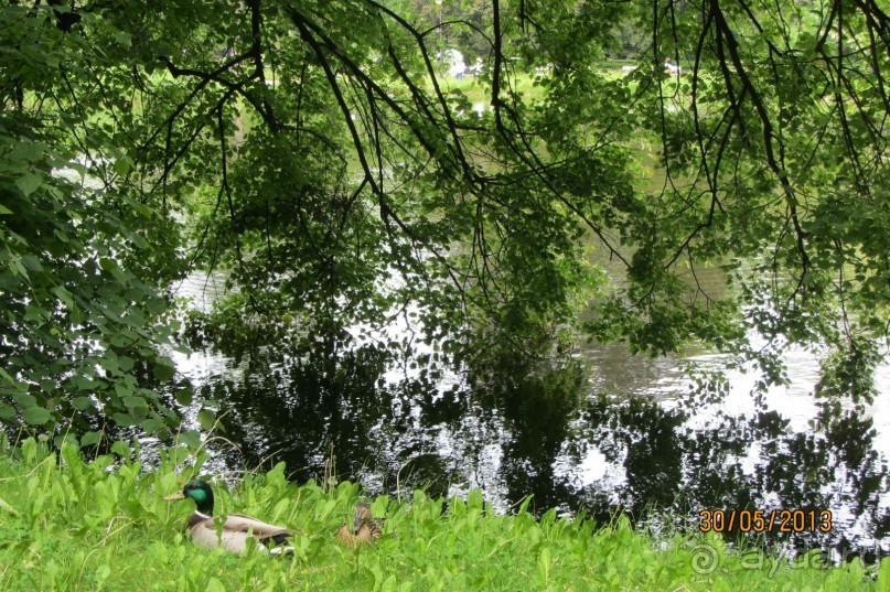 Красивейший дворцово-парковый комплекс! 