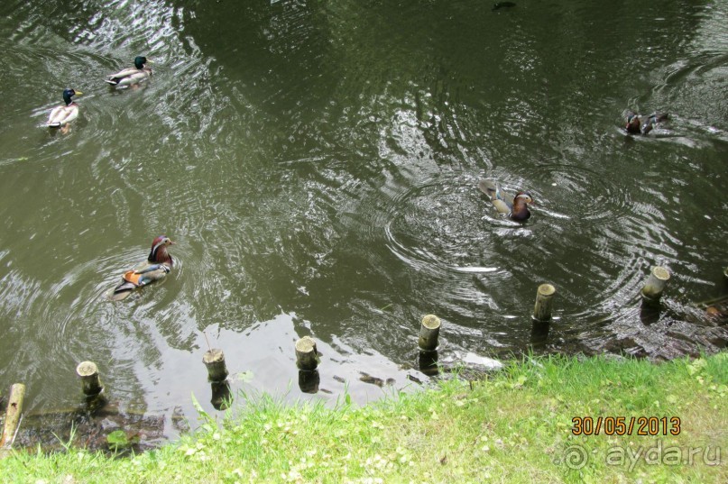 Красивейший дворцово-парковый комплекс! 