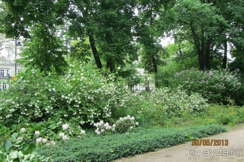 Красивейший дворцово-парковый комплекс! 