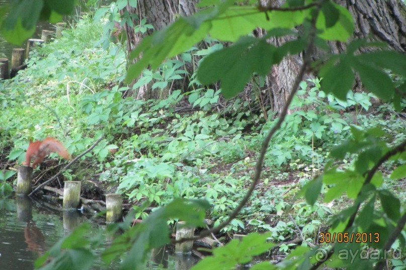 Красивейший дворцово-парковый комплекс! 