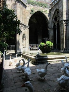 Catedral de la Santa Cruz y Santa Eulalia - главный собор Барселоны.