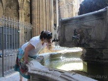 Catedral de la Santa Cruz y Santa Eulalia - главный собор Барселоны.