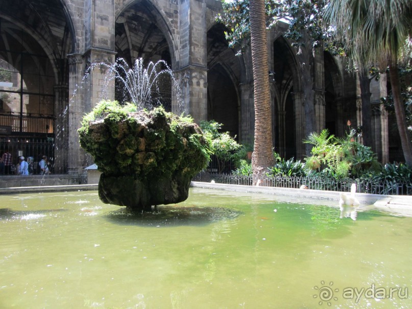Catedral de la Santa Cruz y Santa Eulalia - главный собор Барселоны.
