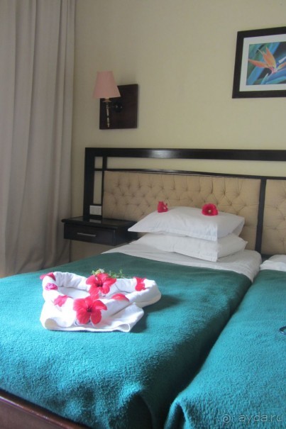 И снова мой любимый Paradis!