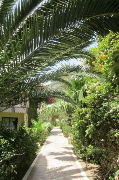 И снова мой любимый Paradis!