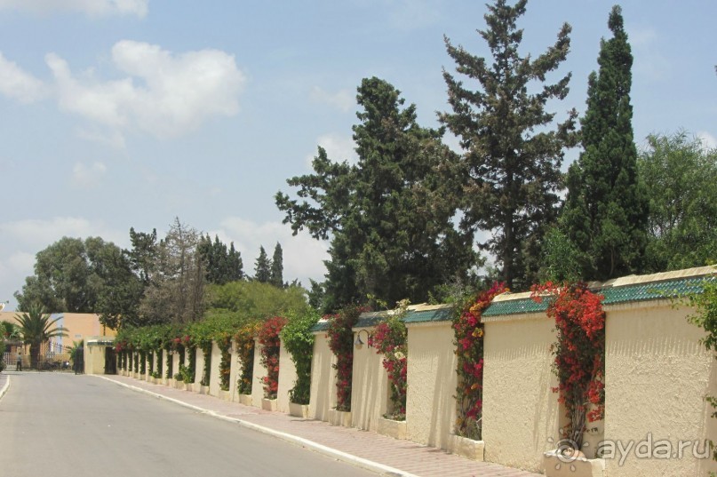 И снова мой любимый Paradis!