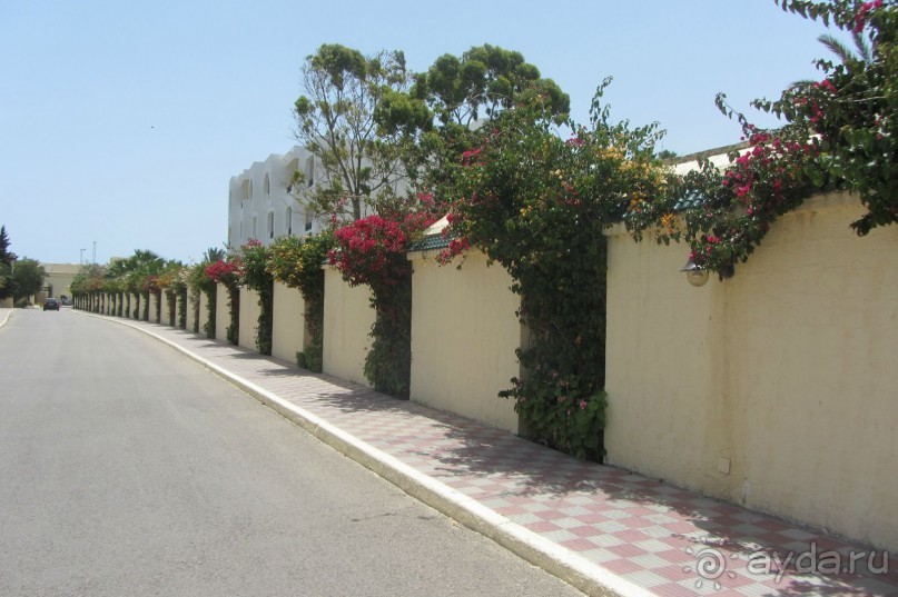 И снова мой любимый Paradis!