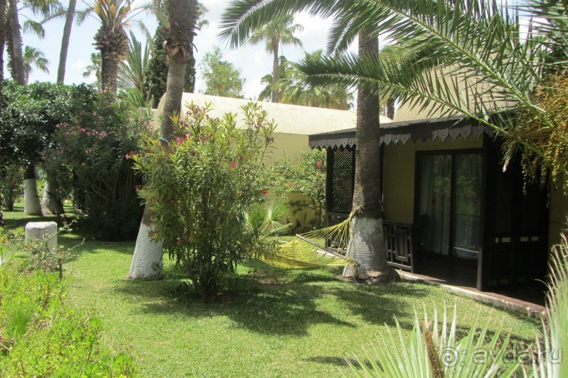 И снова мой любимый Paradis!