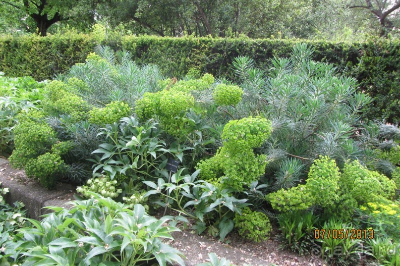 Волшебное место!