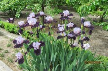 Волшебное место!