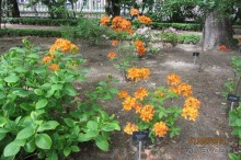 Волшебное место!