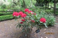 Волшебное место!