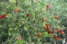 Волшебное место!