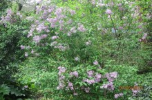 Волшебное место!