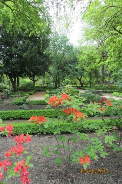 Волшебное место!