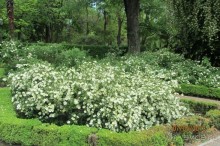 Волшебное место!