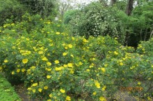 Волшебное место!