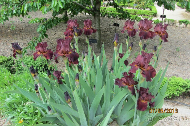 Волшебное место!