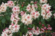 Волшебное место!