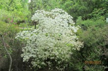 Волшебное место!