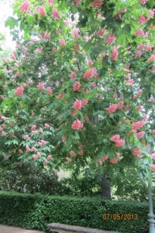 Волшебное место!