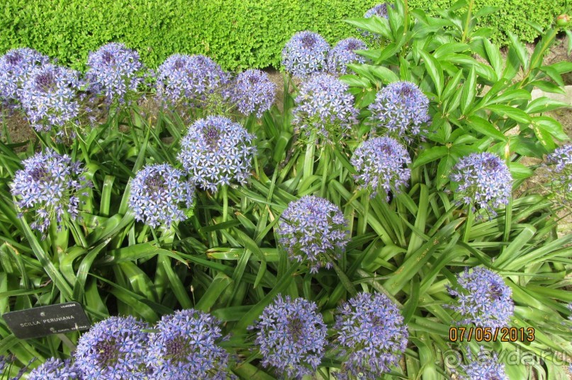 Волшебное место!