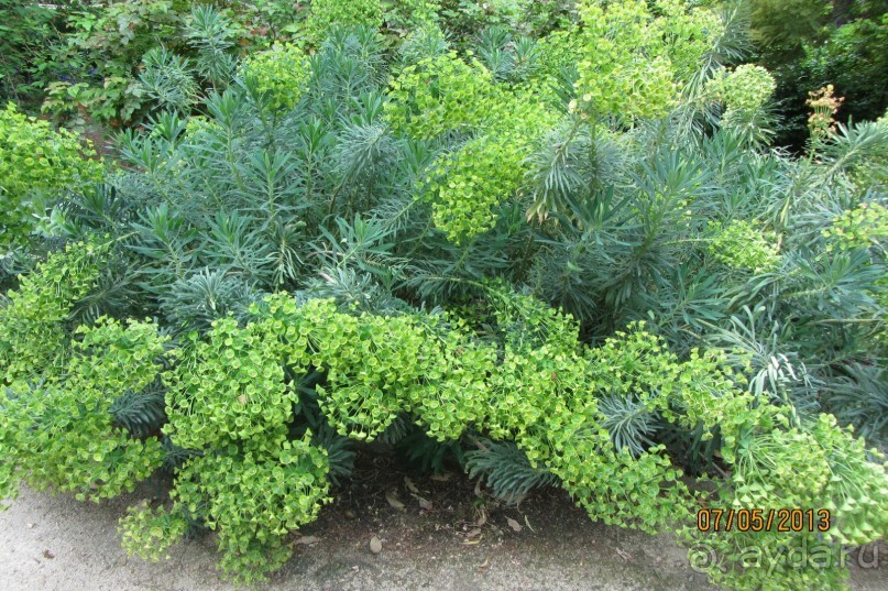 Волшебное место!