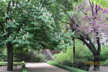 Волшебное место!